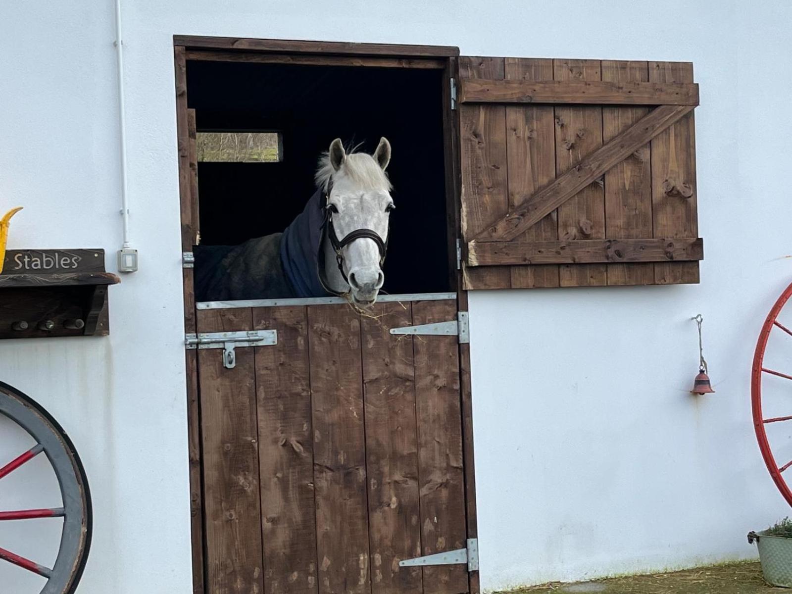 Toddys Hideaway Leilighet Cavan Eksteriør bilde